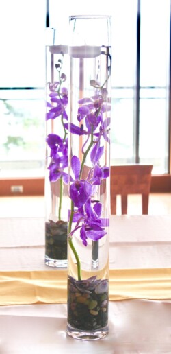 Event Decor & Ambience svg+xml,%3Csvg%20xmlns%3D%22http%3A%2F%2Fwww.w3 - Event Decor & Ambience