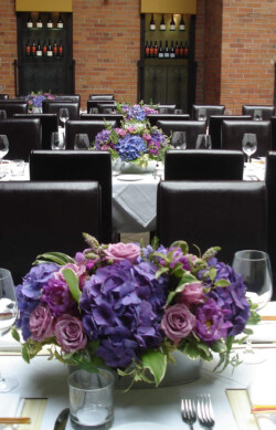 Event Decor & Ambience svg+xml,%3Csvg%20xmlns%3D%22http%3A%2F%2Fwww.w3 - Event Decor & Ambience