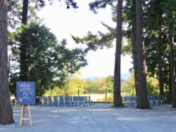 Event Decor & Ambience svg+xml,%3Csvg%20xmlns%3D%22http%3A%2F%2Fwww.w3 - Event Decor & Ambience