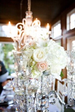 Event Decor & Ambience svg+xml,%3Csvg%20xmlns%3D%22http%3A%2F%2Fwww.w3 - Event Decor & Ambience