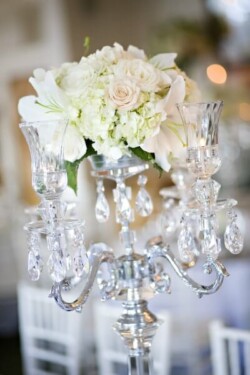 Event Decor & Ambience svg+xml,%3Csvg%20xmlns%3D%22http%3A%2F%2Fwww.w3 - Event Decor & Ambience