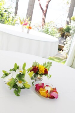 Event Decor & Ambience svg+xml,%3Csvg%20xmlns%3D%22http%3A%2F%2Fwww.w3 - Event Decor & Ambience