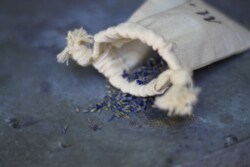 Event Decor & Ambience svg+xml,%3Csvg%20xmlns%3D%22http%3A%2F%2Fwww.w3 - Event Decor & Ambience