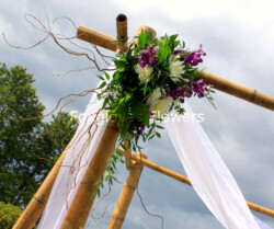 Event Decor & Ambience svg+xml,%3Csvg%20xmlns%3D%22http%3A%2F%2Fwww.w3 - Event Decor & Ambience