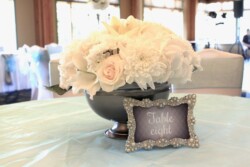 Event Decor & Ambience svg+xml,%3Csvg%20xmlns%3D%22http%3A%2F%2Fwww.w3 - Event Decor & Ambience