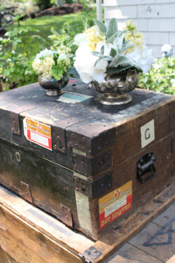 Event Decor & Ambience svg+xml,%3Csvg%20xmlns%3D%22http%3A%2F%2Fwww.w3 - Event Decor & Ambience