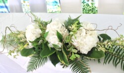 Event Decor & Ambience svg+xml,%3Csvg%20xmlns%3D%22http%3A%2F%2Fwww.w3 - Event Decor & Ambience