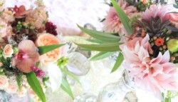 Event Decor & Ambience svg+xml,%3Csvg%20xmlns%3D%22http%3A%2F%2Fwww.w3 - Event Decor & Ambience