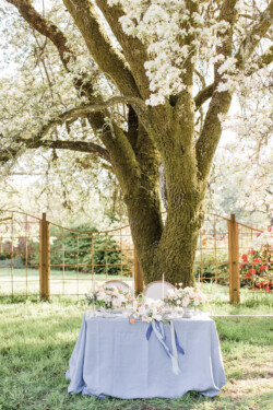 Event Decor & Ambience svg+xml,%3Csvg%20xmlns%3D%22http%3A%2F%2Fwww.w3 - Event Decor & Ambience