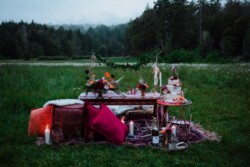 Event Decor & Ambience svg+xml,%3Csvg%20xmlns%3D%22http%3A%2F%2Fwww.w3 - Event Decor & Ambience