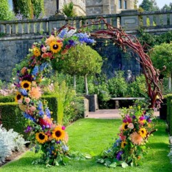 Event Decor & Ambience svg+xml,%3Csvg%20xmlns%3D%22http%3A%2F%2Fwww.w3 - Event Decor & Ambience