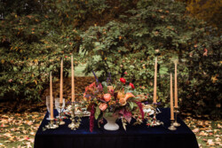 Event Decor & Ambience svg+xml,%3Csvg%20xmlns%3D%22http%3A%2F%2Fwww.w3 - Event Decor & Ambience