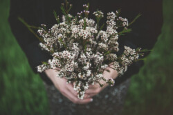 Bridal Bouquets svg+xml,%3Csvg%20xmlns%3D%22http%3A%2F%2Fwww.w3 - Bridal Bouquets