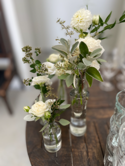 Event Decor & Ambience svg+xml,%3Csvg%20xmlns%3D%22http%3A%2F%2Fwww.w3 - Event Decor & Ambience