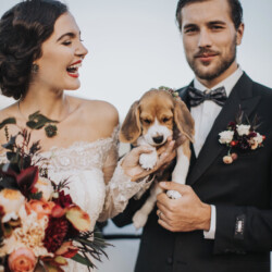 Bridal Bouquets svg+xml,%3Csvg%20xmlns%3D%22http%3A%2F%2Fwww.w3 - Bridal Bouquets