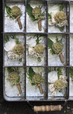 Boutonnieres, Corsages & Hair Blooms svg+xml,%3Csvg%20xmlns%3D%22http%3A%2F%2Fwww.w3 - Boutonnieres, Corsages & Hair Blooms