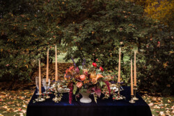 Event Decor & Ambience svg+xml,%3Csvg%20xmlns%3D%22http%3A%2F%2Fwww.w3 - Event Decor & Ambience