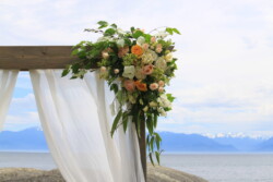 Event Decor & Ambience svg+xml,%3Csvg%20xmlns%3D%22http%3A%2F%2Fwww.w3 - Event Decor & Ambience