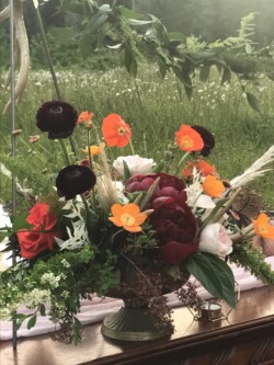 Event Decor & Ambience svg+xml,%3Csvg%20xmlns%3D%22http%3A%2F%2Fwww.w3 - Event Decor & Ambience