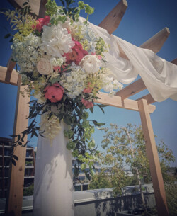 Event Decor & Ambience svg+xml,%3Csvg%20xmlns%3D%22http%3A%2F%2Fwww.w3 - Event Decor & Ambience