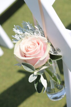 Event Decor & Ambience svg+xml,%3Csvg%20xmlns%3D%22http%3A%2F%2Fwww.w3 - Event Decor & Ambience