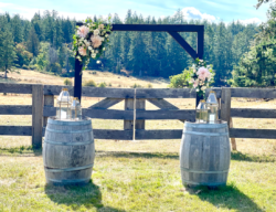 Event Decor & Ambience svg+xml,%3Csvg%20xmlns%3D%22http%3A%2F%2Fwww.w3 - Event Decor & Ambience