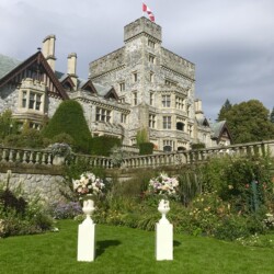 Event Decor & Ambience svg+xml,%3Csvg%20xmlns%3D%22http%3A%2F%2Fwww.w3 - Event Decor & Ambience