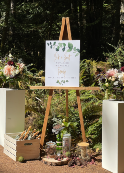 Event Decor & Ambience svg+xml,%3Csvg%20xmlns%3D%22http%3A%2F%2Fwww.w3 - Event Decor & Ambience