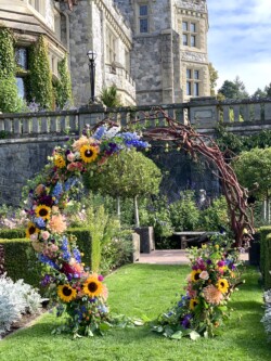 Event Decor & Ambience svg+xml,%3Csvg%20xmlns%3D%22http%3A%2F%2Fwww.w3 - Event Decor & Ambience