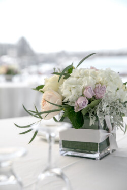 Event Decor & Ambience svg+xml,%3Csvg%20xmlns%3D%22http%3A%2F%2Fwww.w3 - Event Decor & Ambience