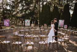 Event Decor & Ambience svg+xml,%3Csvg%20xmlns%3D%22http%3A%2F%2Fwww.w3 - Event Decor & Ambience