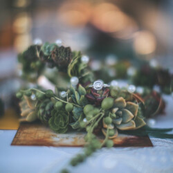 Boutonnieres, Corsages & Hair Blooms svg+xml,%3Csvg%20xmlns%3D%22http%3A%2F%2Fwww.w3 - Boutonnieres, Corsages & Hair Blooms